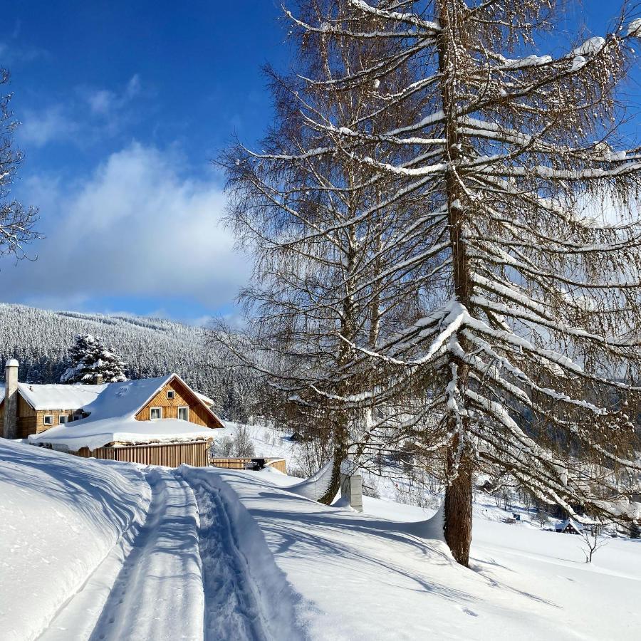 Bouda U Vleku Pec pod Snezkou Exterior foto